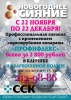Профессиональная чистка "Профифлекс" за 2 800 рублей